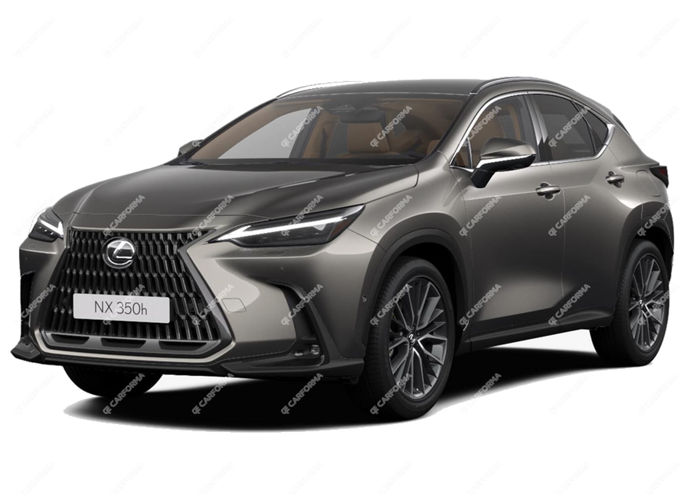 Ворсовые коврики на Lexus NX II 2021 - 2025 в Рязани