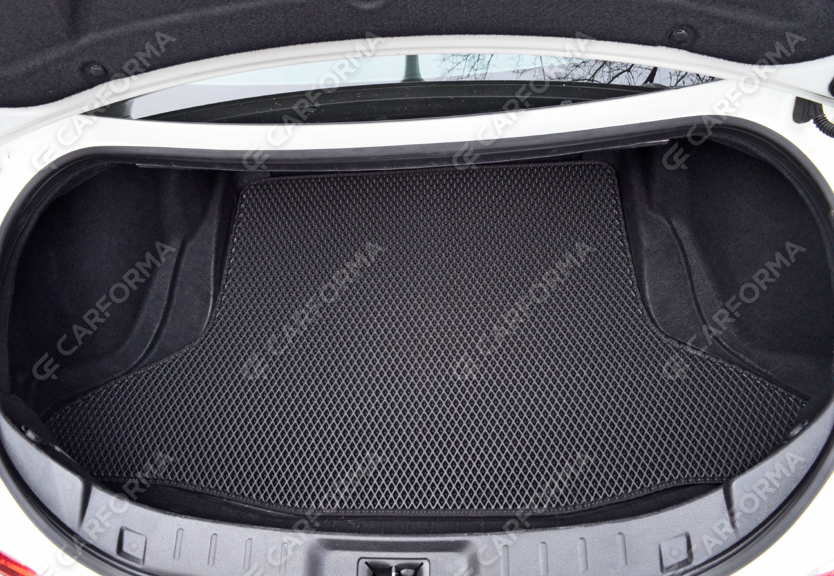 Коврики на Nissan GT-R 2007&nbsp;-&nbsp;2026 в Рязани
