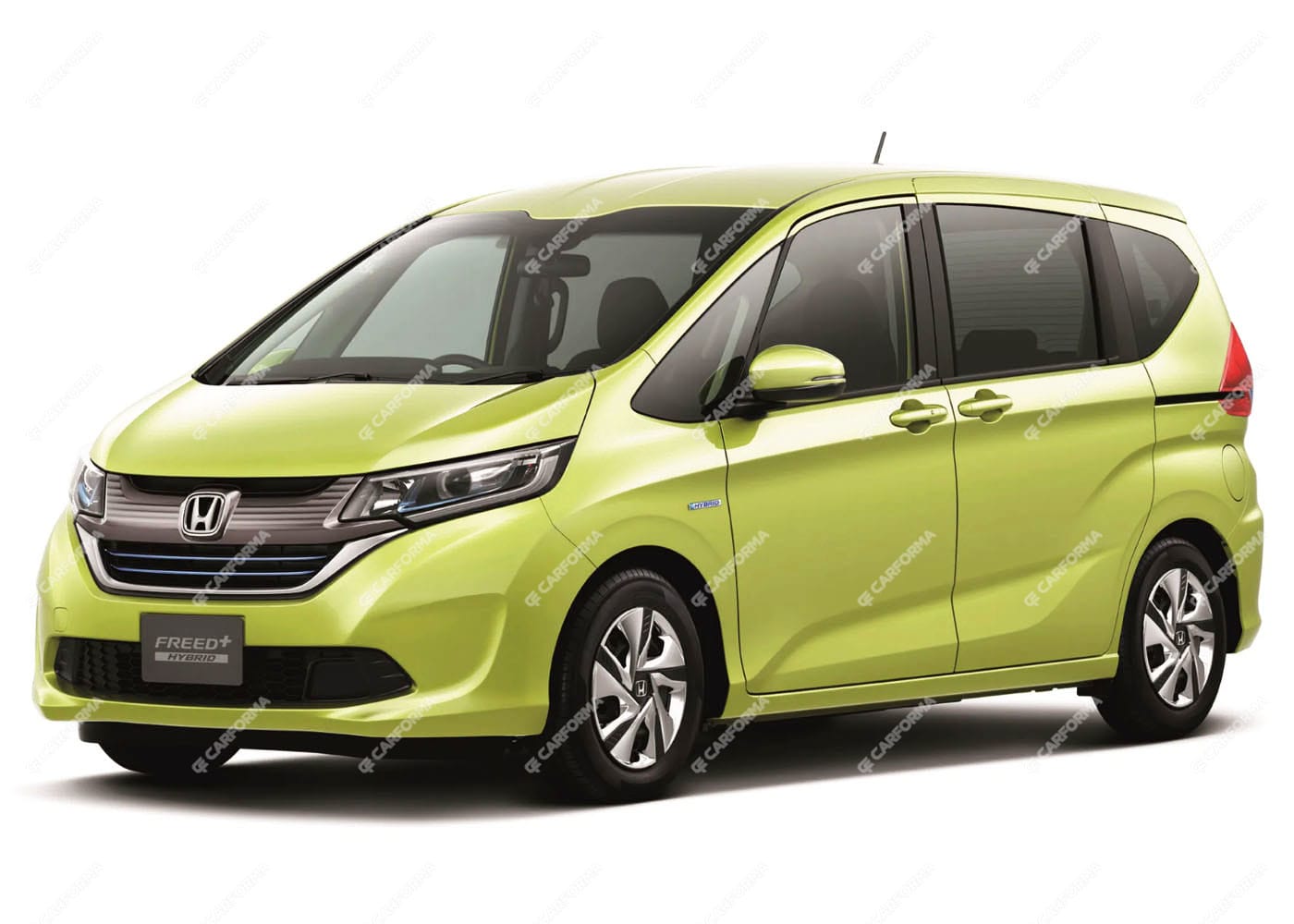 Ворсовые коврики на Honda Freed+ 2016 - 2024