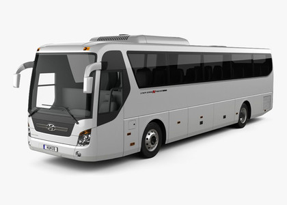 Коврики на Hyundai Universe Space Luxury  в Рязани
