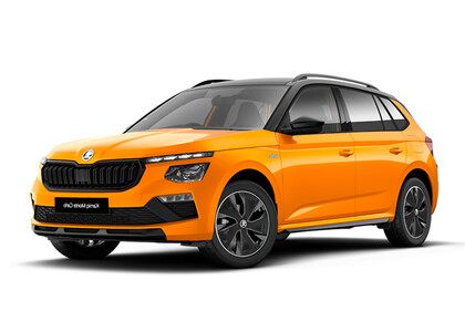 Ворсовые коврики на Skoda Kamiq 2019&nbsp;-&nbsp;2026 в Рязани