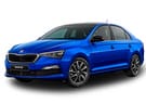 Коврики на Skoda Rapid II 2019 - 2025 в Рязани