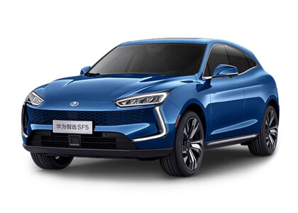 Коврики на Seres SF5 2019 - 2022 в Рязани