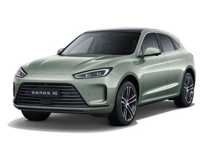 Коврики на Seres M5 2021 - 2025 в Рязани