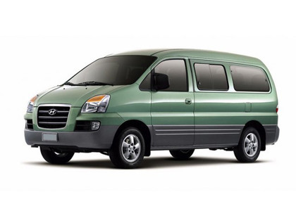 Коврики на Hyundai Starex 1996 - 2007 в Рязани
