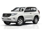 Коврики на Toyota Land Cruiser Prado 150 2009 - 2023 в Рязани