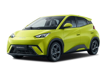Коврики на BYD Seagull 1 2023&nbsp;-&nbsp;2026 в Рязани