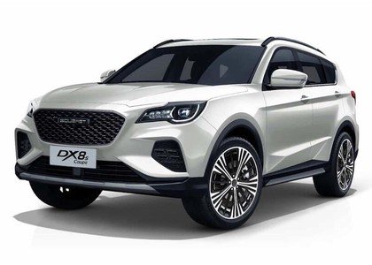 Коврики на Soueast DX8S 2022 - 2025 в Рязани