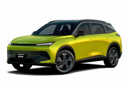 Коврики на Baic X55 2022 - 2025 в Рязани