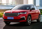 Ворсовые коврики на Skoda Kamiq 2018 - 2025 в Рязани