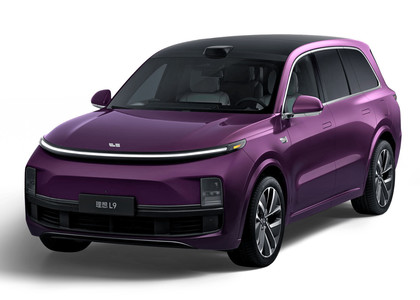 Коврики на Li L9 2022 - 2025 в Рязани